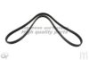ASHUKI VM6-1538 V-Ribbed Belts